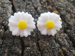 White Daisy Studs