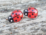 Ladybug Studs