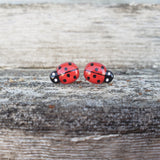 Ladybug Studs